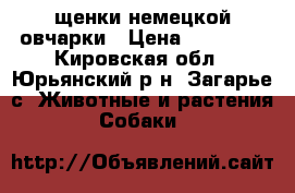 щенки немецкой овчарки › Цена ­ 10 000 - Кировская обл., Юрьянский р-н, Загарье с. Животные и растения » Собаки   